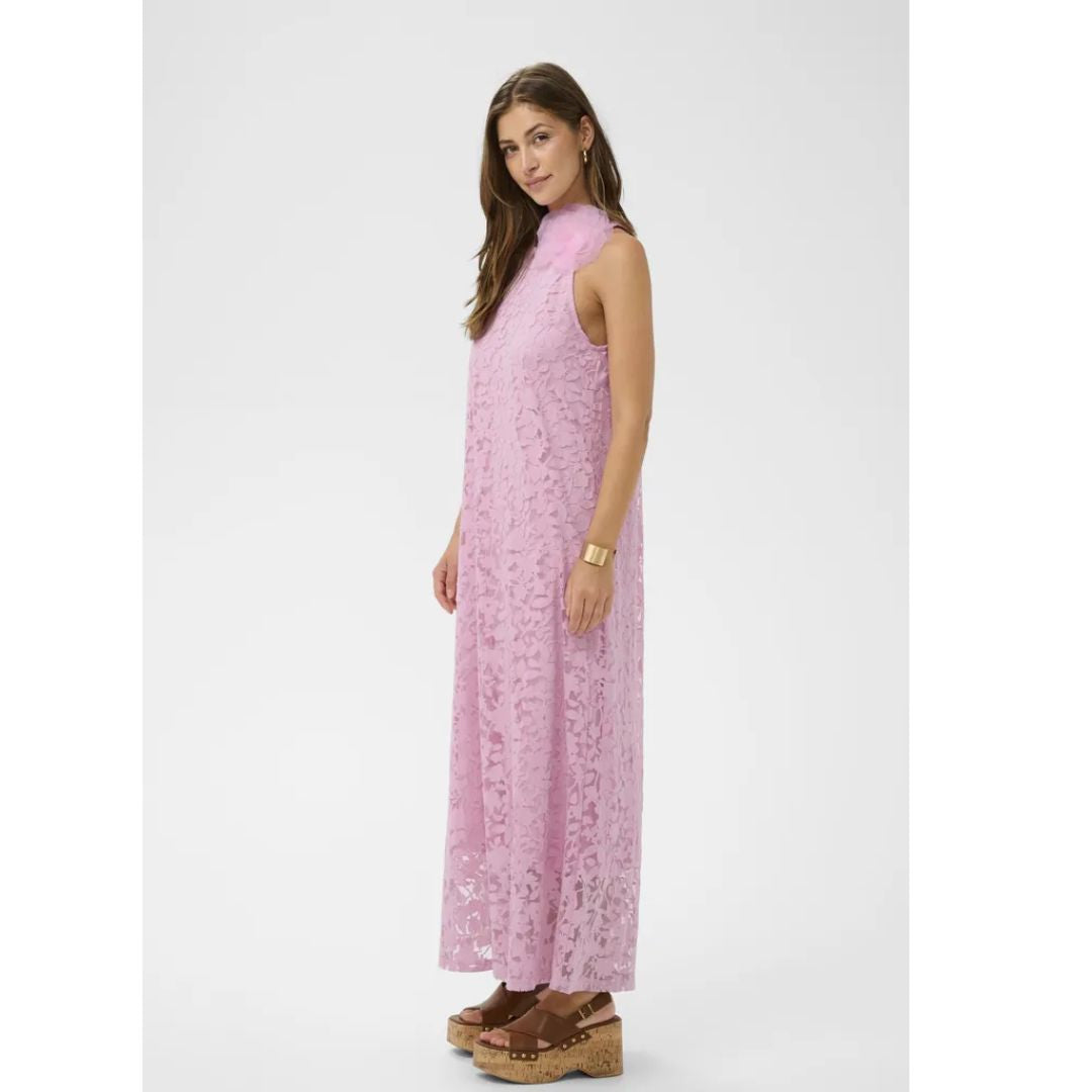 Jessica Lace Sheath Dress - Pink Nectar