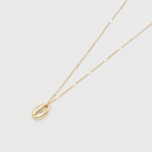 Shell Necklace | 1744