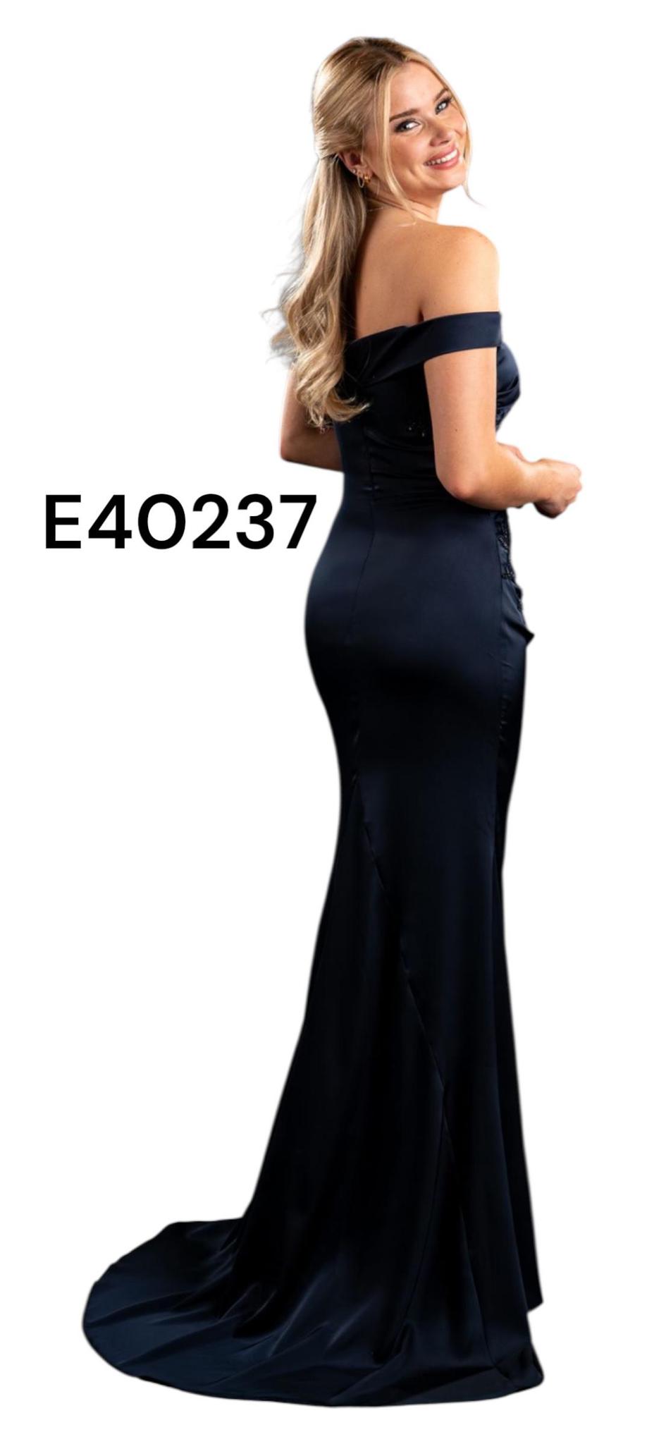 Enchanted - E40237